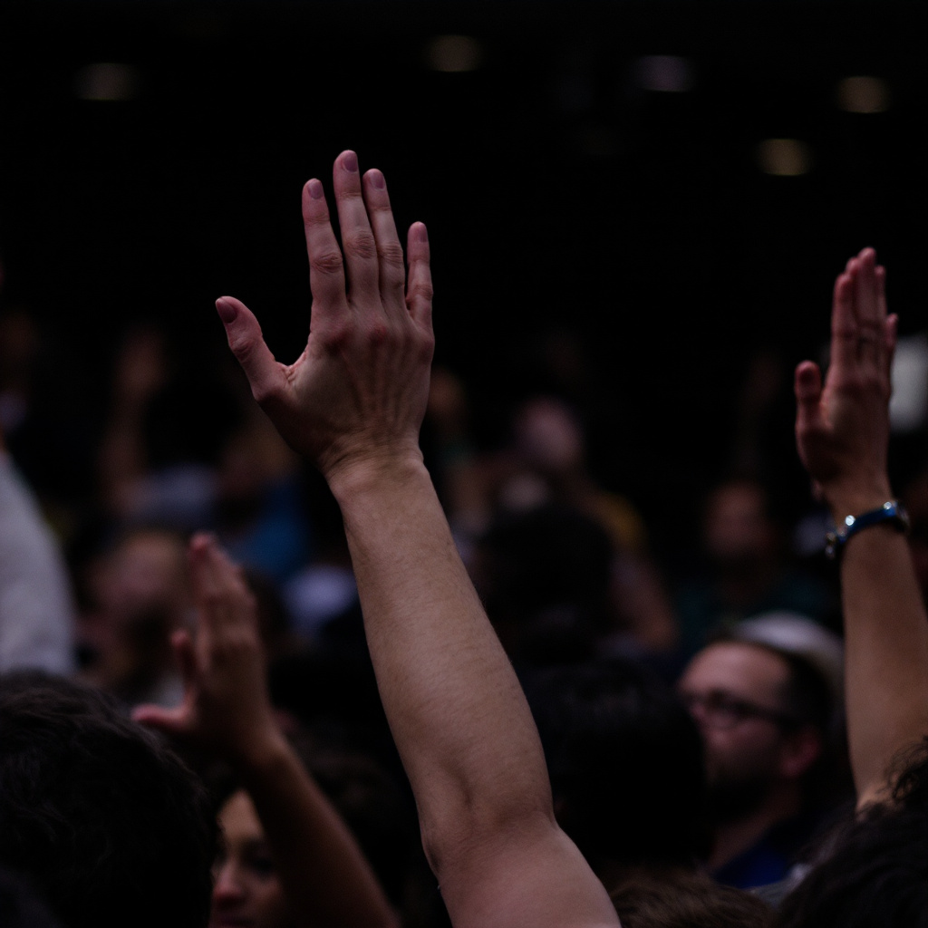 people raising their hands